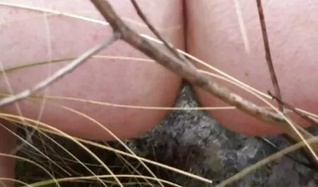 Giapponese di video chat erotica ita bellezza dà culo