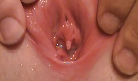 Vino, camino e masturbazione la bruna è splendida con film erotici completi italiani grandi seni