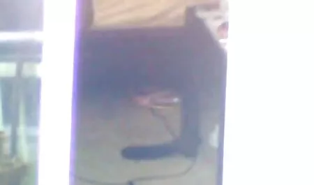 Sborrata ragazza fatta in videoeroticifilmitaliani casa in faccia