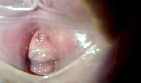 Bella Moglie Cazzo filmerotici italiani