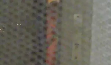 Bacio il micio da Il video amatoriali italiani erotici cagna